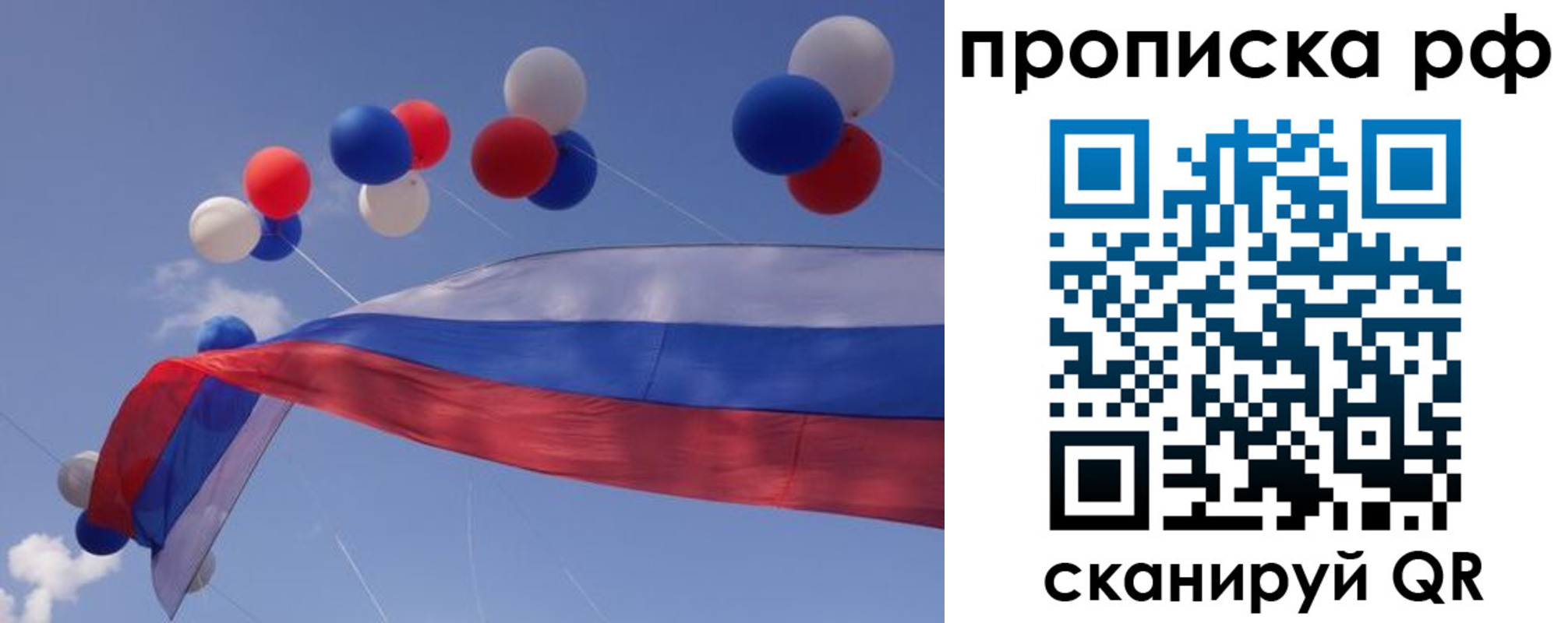прописка законно в Химках